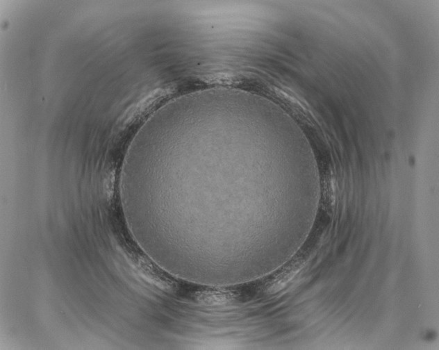 X0000087360652200704201148