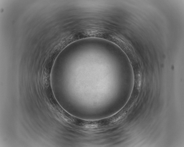 X0000087360653200704201148