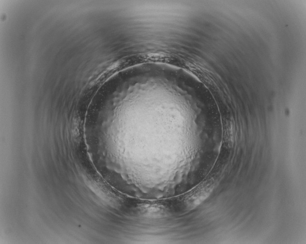 X0000087360654200704201148