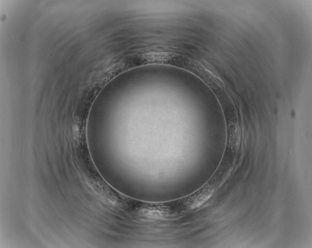 X0000087360655200704201148