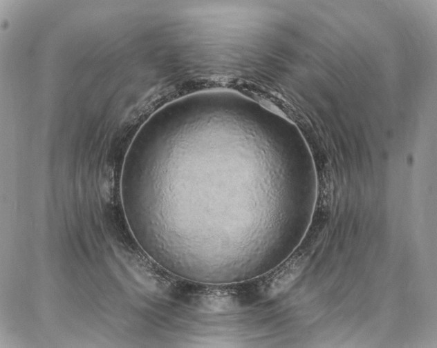 X0000087360656200704201148