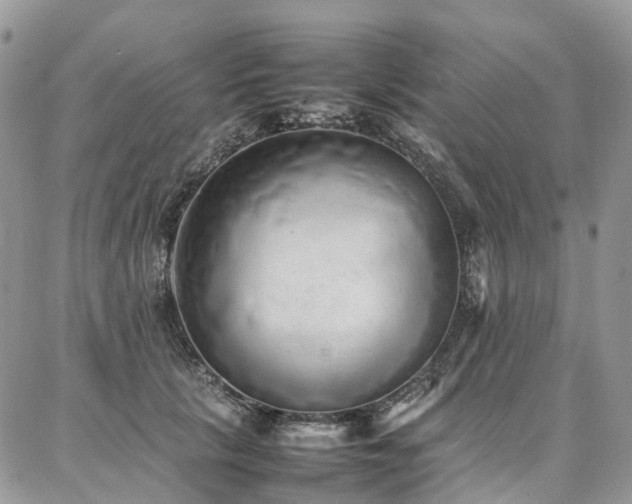 X0000087360657200704201148