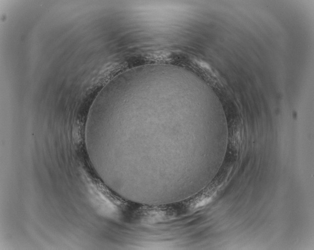 X0000087360658200704201148