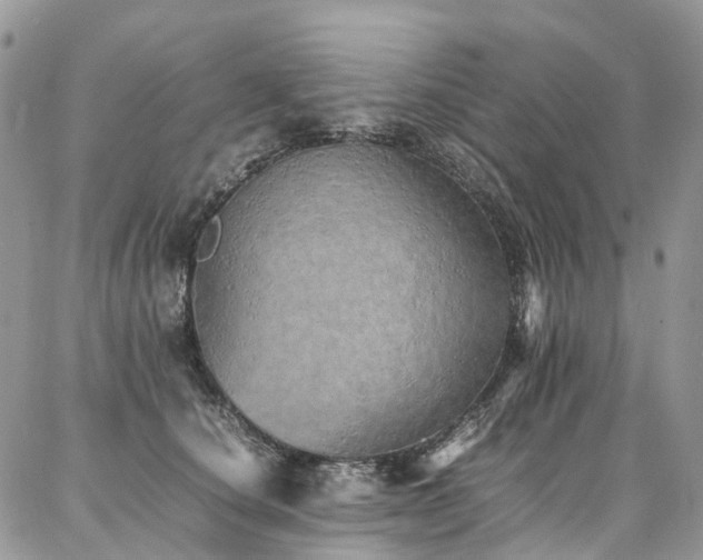 X0000087360660200704201148