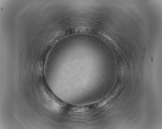 X0000087360661200704201148