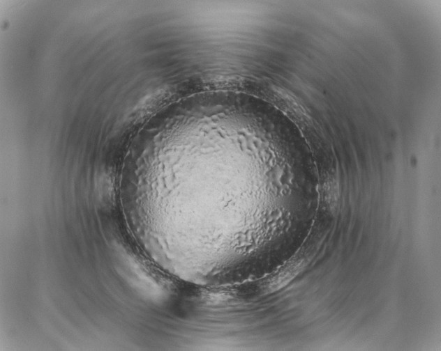 X0000087360662200704201148