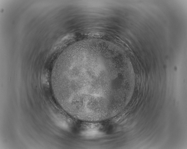 X0000087360663200704201148