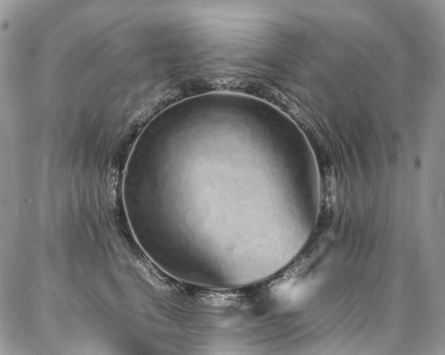 X0000087360664200704201148