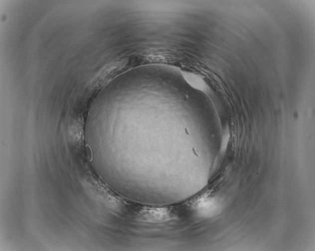 X0000087360665200704201148