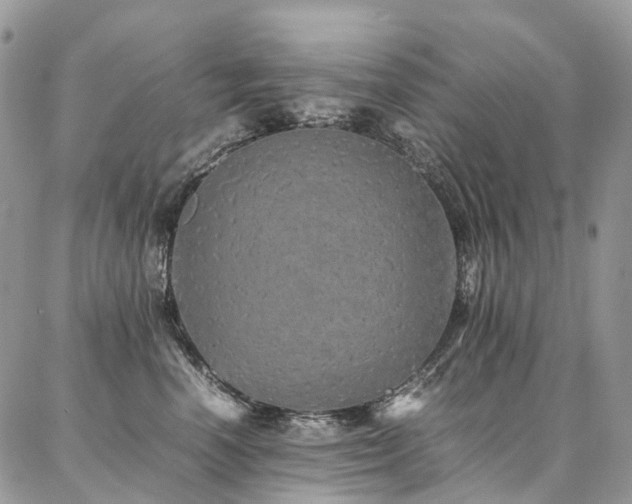 X0000087360666200704201148