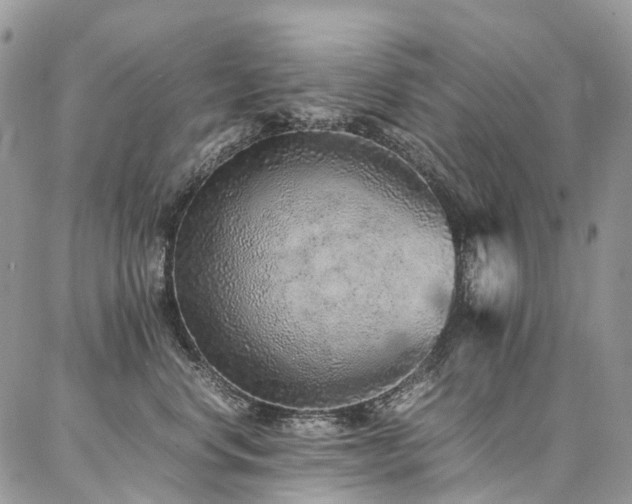 X0000087360668200704201148