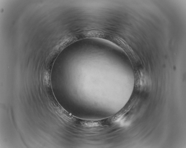 X0000087360669200704201148