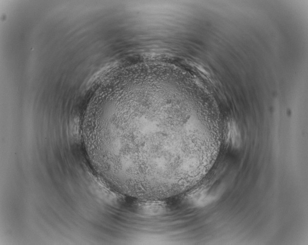 X0000087360670200704201149