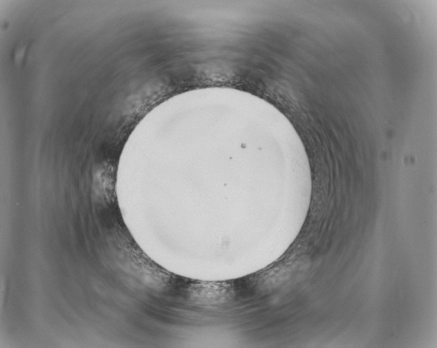 X0000087360672200704201149
