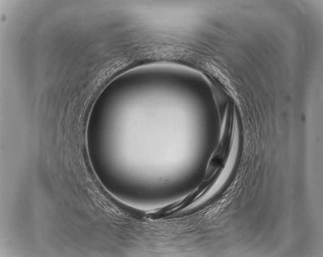 X0000087360673200704201148