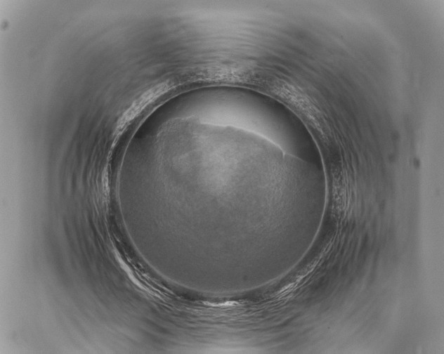 X0000087360674200704201148