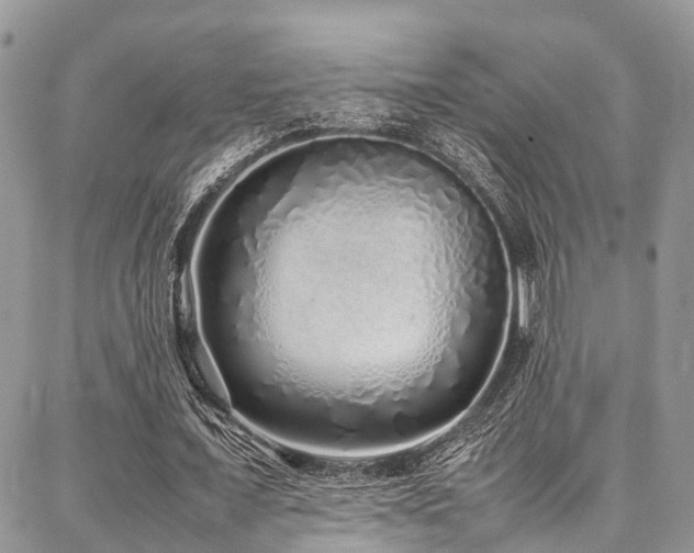 X0000087360675200704201148
