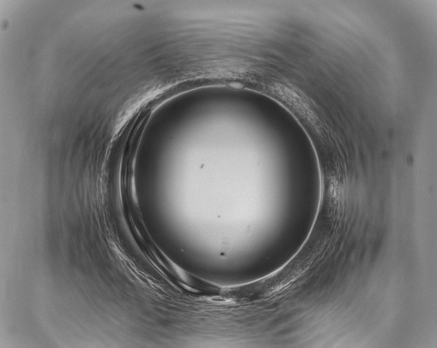 X0000087360676200704201148