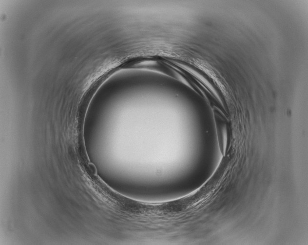 X0000087360677200704201148