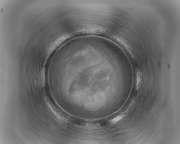 X0000087360678200704201148