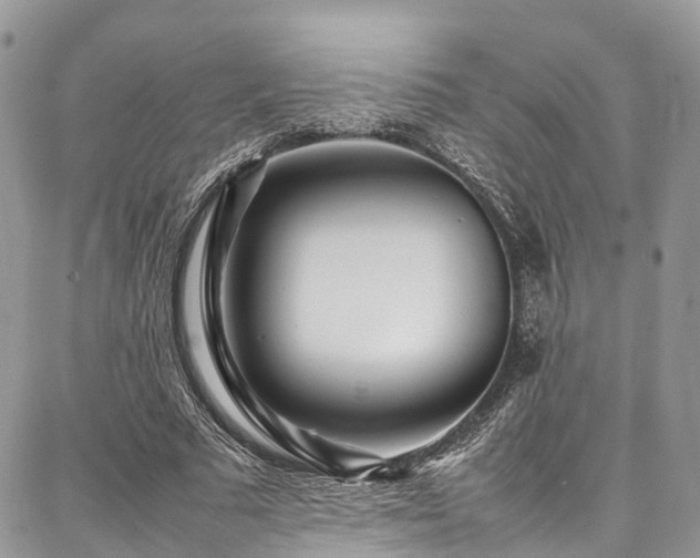 X0000087360681200704201148