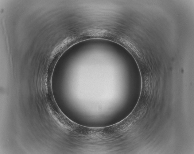 X0000087360682200704201148
