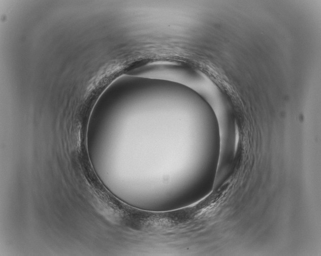 X0000087360685200704201148