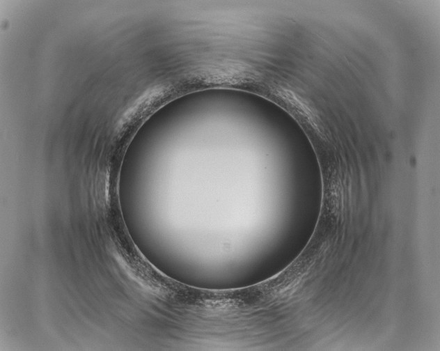 X0000087360686200704201148