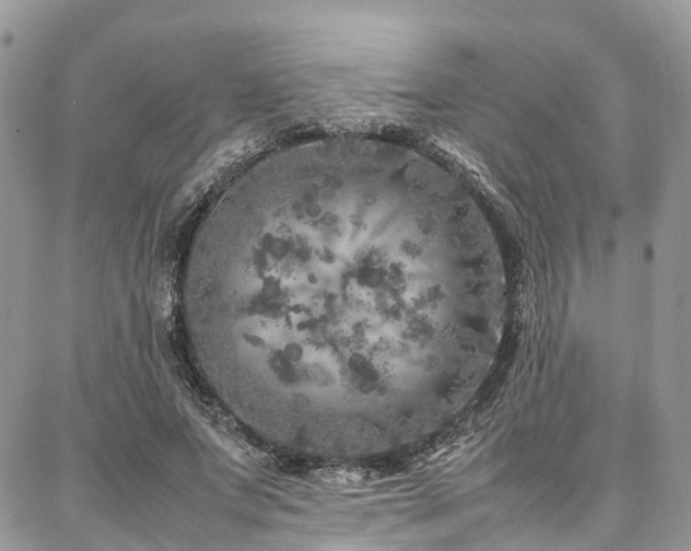 X0000087360687200704201148