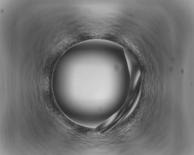 X0000087360689200704201147