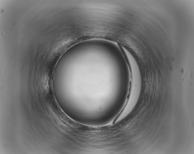 X0000087360692200704201147