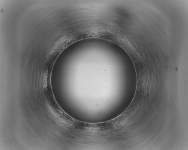 X0000087360694200704201147