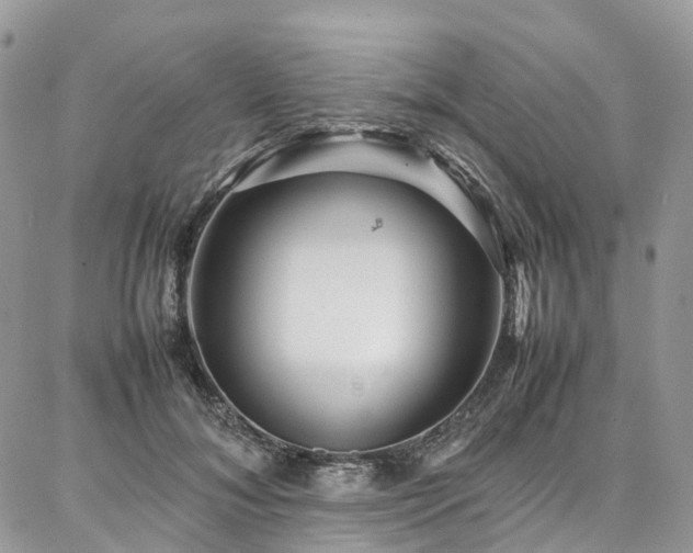 X0000087360700200704201147