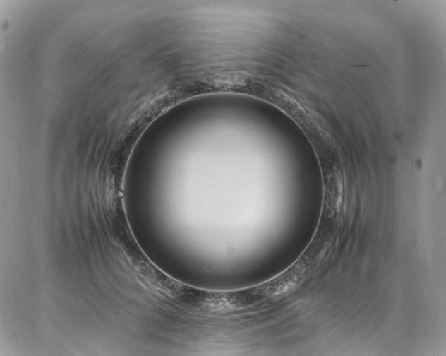 X0000087360704200704201147