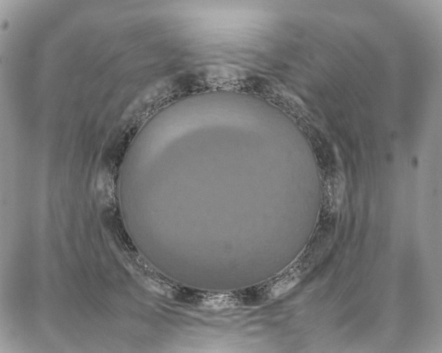 X0000087360705200704201147