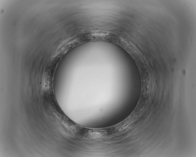 X0000087360706200704201147
