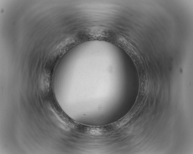 X0000087360710200704201147