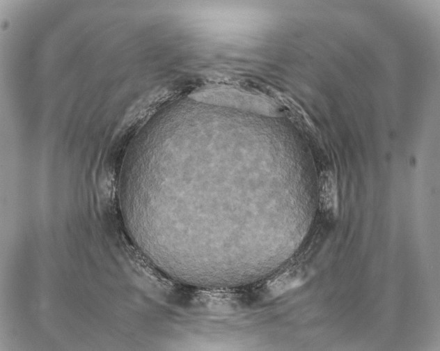 X0000087360713200704201147