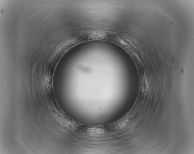X0000087360714200704201147