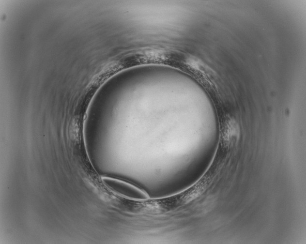 X0000087360715200704201147