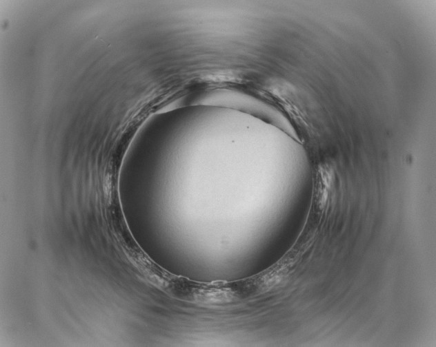 X0000087360716200704201147