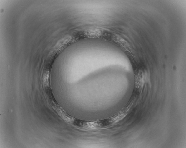 X0000087360717200704201147