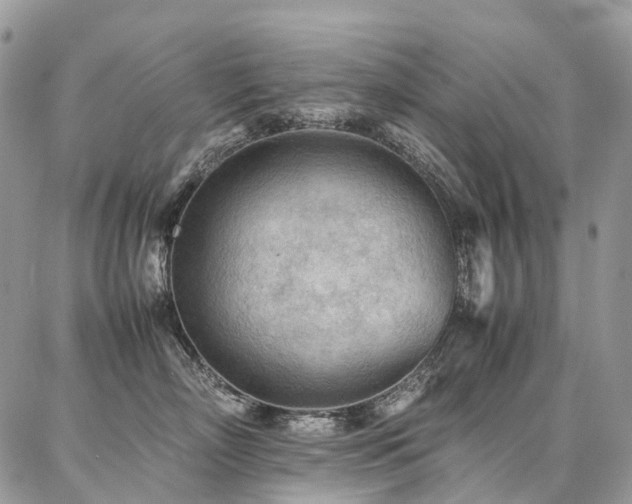 X0000087360718200704201147