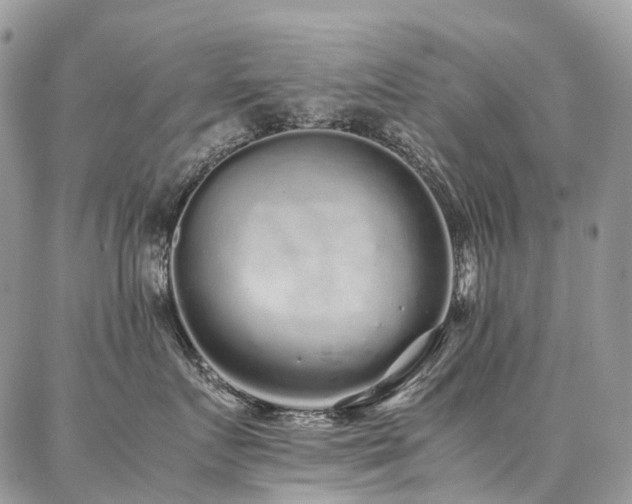 X0000087360719200704201147