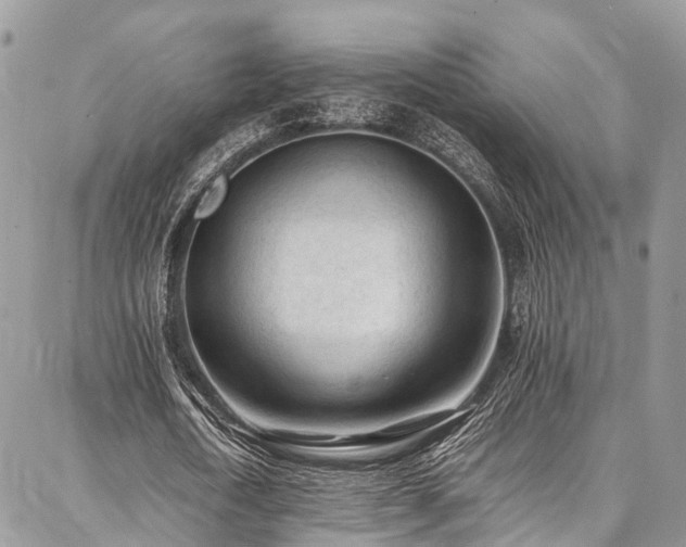 X0000087360722200704201146