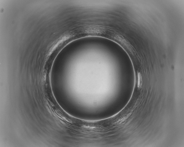 X0000087360723200704201146