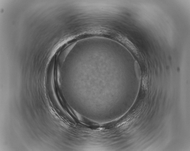 X0000087360724200704201146