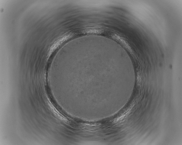 X0000087360725200704201146