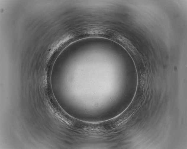 X0000087360727200704201146