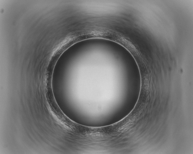 X0000087360730200704201146